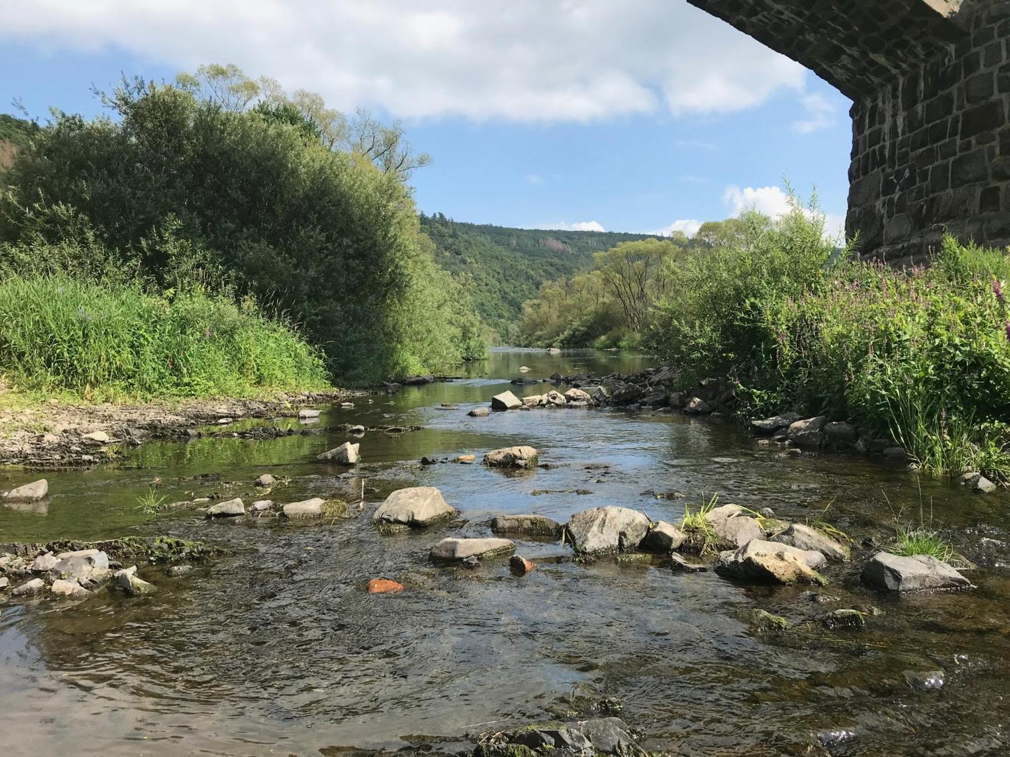 Kellerwald Frankenau Exterior foto